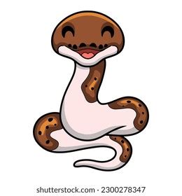 Image result for Pied Zebra Python