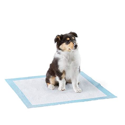 Amazon.in Bestsellers: The most popular items in Dog Diapers & Potty ...