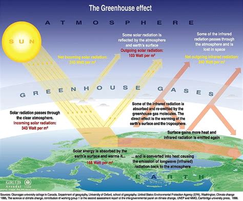 Climate change and child health | Archives of Disease in Childhood
