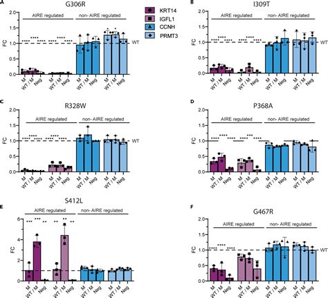 Dominant-negative heterozygous mutations in AIRE confer diverse ...
