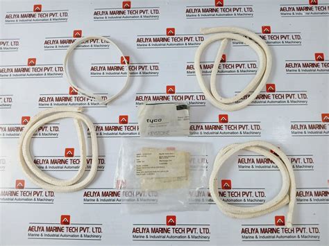 Tyco Valves & Controls 2018380 Gland Packing Kit For 250-600Mm Knife G ...