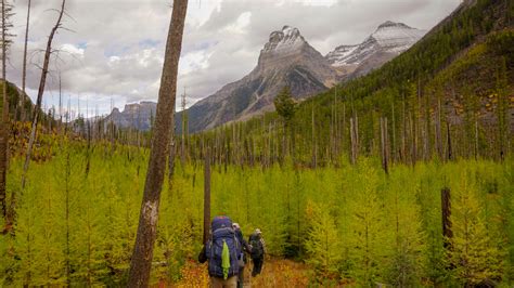 Image result for Backpacking Layering System