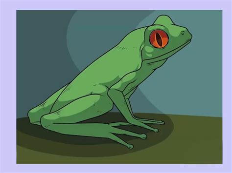 Image result for How to Draw Simple Frog