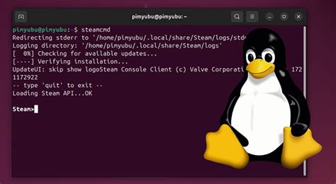 Install Steam Linux 的图像结果