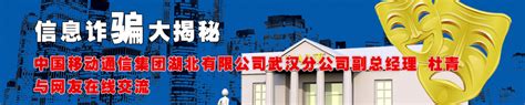 中国移动湖北武汉分公司副总经理与网友在线交流