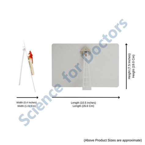 Spectrum of Liver Damage: 3d therapy Board – Science For Doctors