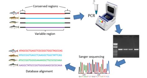 Image result for Microbial Barcoding