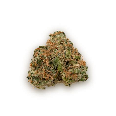 AK-47 Strain - Solar Cannabis Co.