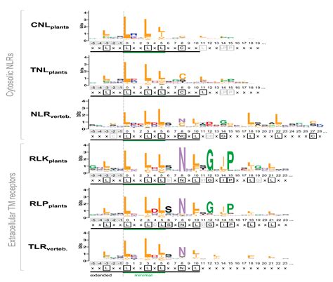 LRRpredictor—A New LRR Motif Detection Method for Irregular Motifs of ...