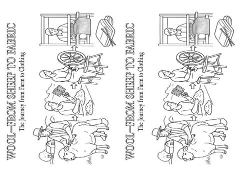 Wool From Sheep to Fabric Coloring Picture by Steven's Social Studies