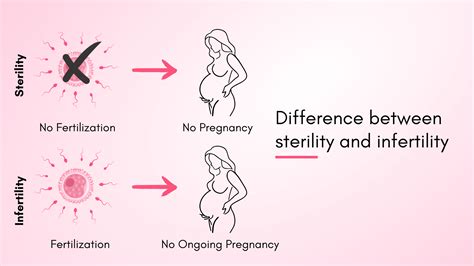 Infertility vs Sterility: What's the Difference