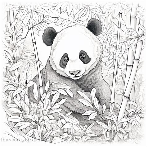 Free Pandas Coloring Pages You Can Print Now – I have crayon