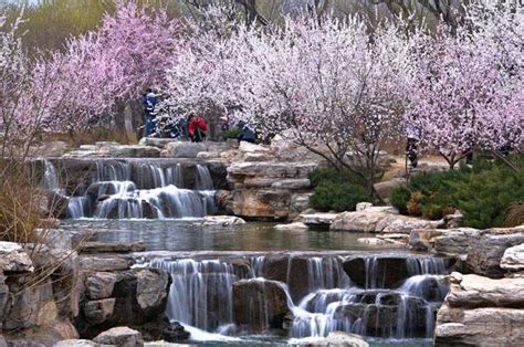 北京北京植物园好玩吗,北京北京植物园景点怎么样_点评_评价【携程攻略】