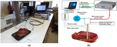 Microwave-Assisted Chemical Ablation (MA-CA): A Novel Microwave ...