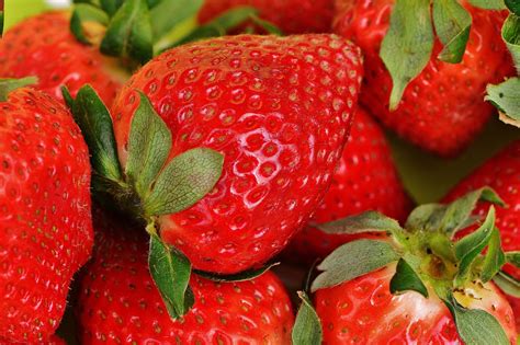 Free Images : plant, fruit, berry, food, produce, strawberry ...
