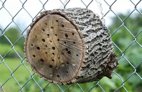 Image result for Making a Bee Home