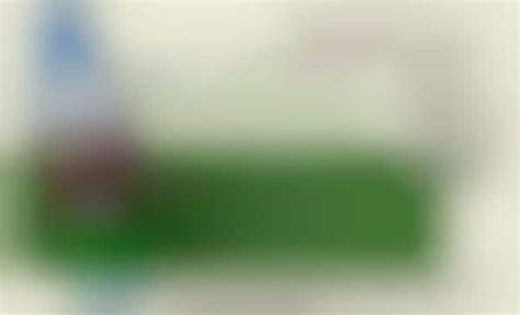 Green Graduation Gowns: University of Pennsylvania's Class of 2010 to ...