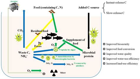 Optimized Utilization of Organic Carbon in Aquaculture Biofloc Systems: A Review