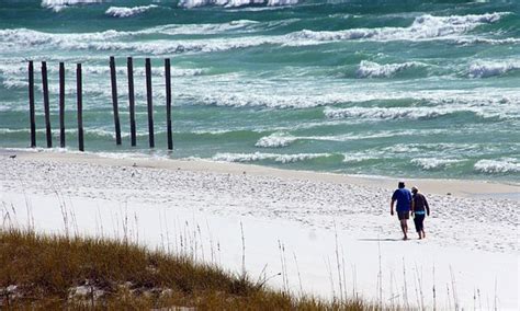 Tips & Techniques for Capturing Sharks in Destin | Guidesly