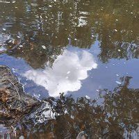 MUTHATHI SETTLEMENT (2026) All You Need to Know BEFORE You Go (with ...