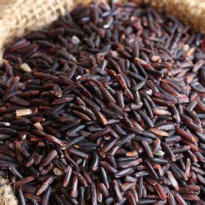 Rice – Gramiyum – Online Store for Cold Pressed Oil and Natural Food ...