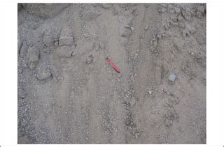 Image result for Fill Sand