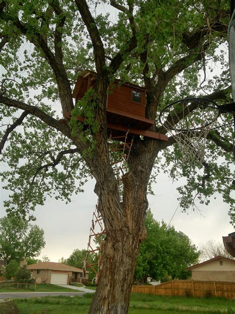 Image result for Tree House Ladder