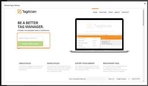 Tag Selector CSS 的图像结果