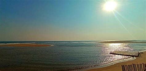 Here's One Of Odisha's Best-Kept Secrets, An Eco Retreat By The Beach!