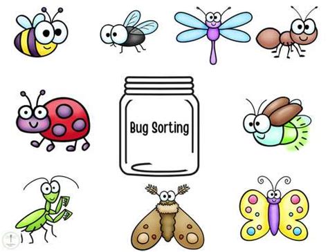 Image result for Bug Sorting