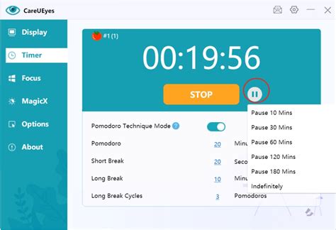 Image result for Counter Timer Pause Feature