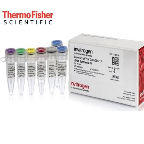 cDNA Synthesis Protocol 的图像结果