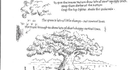 Image result for Tree Drawing Worksheet