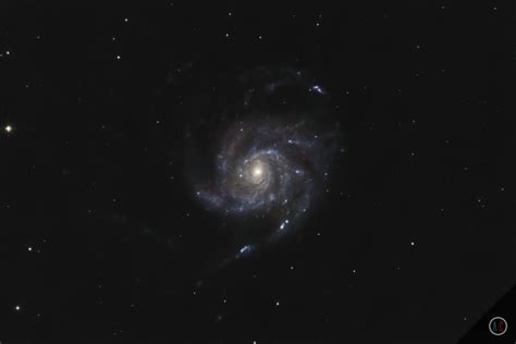 galaxies 的图像结果