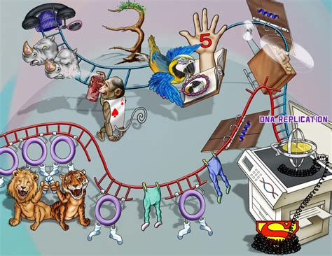 Animation DNA Replication Steps 的图像结果