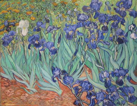 File:Irises by Vincent Van Gogh in GettyCenter.jpg - Wikimedia Commons