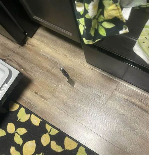 Robby Cooking Hacks 的图像结果