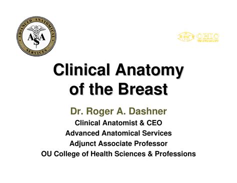 2012-04-24 Dashner RPAC-Breast Anatomy - Clinical Anatomy Clinical ...