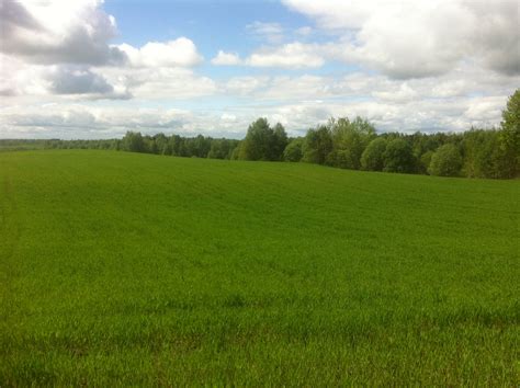 Ackerland in Lettland 100 1600ha zu verkaufen in Lettland | Immobilien ...