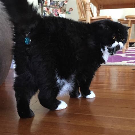 9 Whacky Inventions That Are The Perfect Answer To Life's Most ...