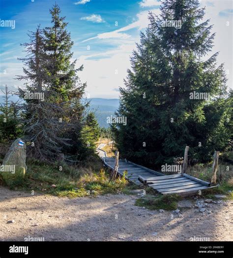 Image result for Building a Rustic Pathway