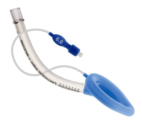 Laryngeal Mask Airway Obesity at James Northern blog