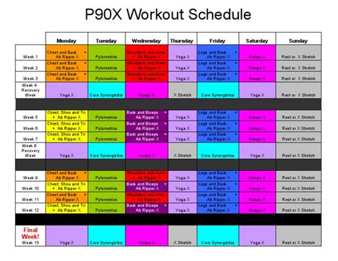 P90X Workout Schedule | PDF | Sports | Leisure - Worksheets Library