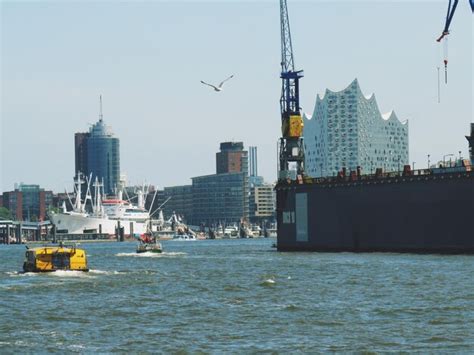 Birds flying over sea and buildings in city | Premium Photo