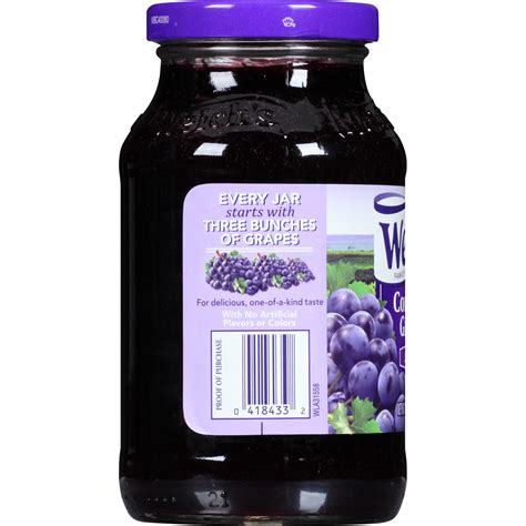 Welch's Grape Jelly 18 oz | Shipt