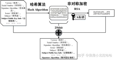 CA数字证书是用来做什么的？_Ukey