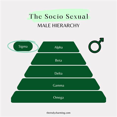 24 Traits of a Sigma Male (+ A Complete Guide)