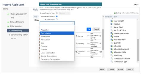 NetSuite Applications Suite - Setting Default Values and Reference Types