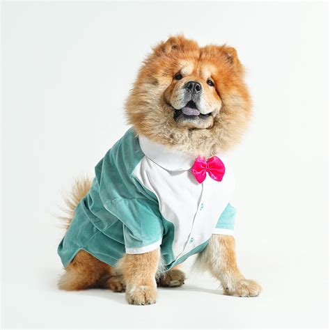 Dresses For Dogs | Dog Clothing | Dog Accessories | Barks and Wags ...