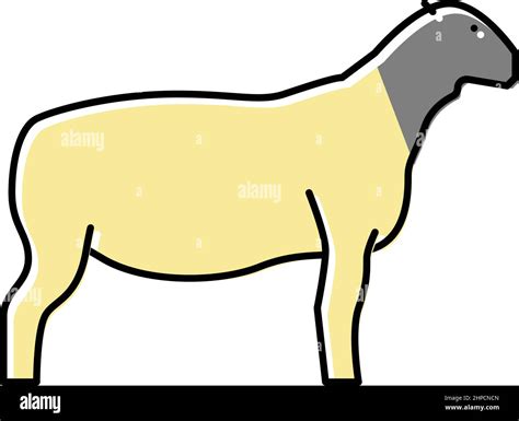 dorper sheep color icon vector illustration Stock Vector Image & Art ...